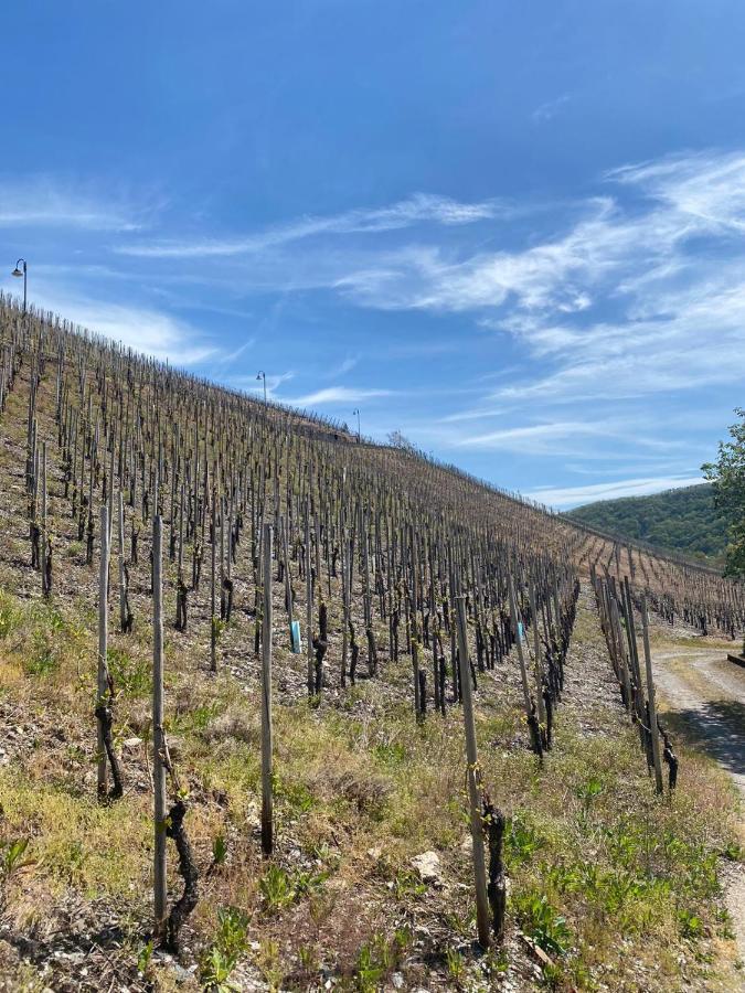 Отель Wein Und Gastehaus Marlene Pohl Kinheim Экстерьер фото