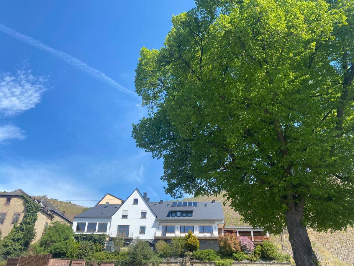 Отель Wein Und Gastehaus Marlene Pohl Kinheim Экстерьер фото